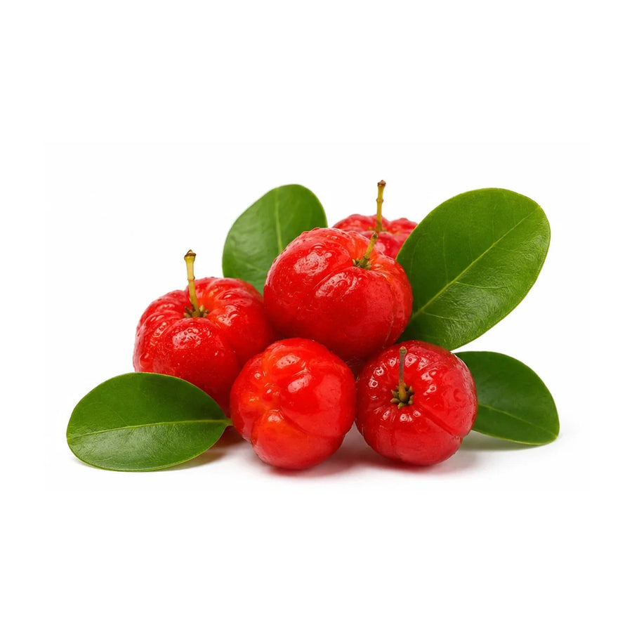 Acerola Kirschen aus Brasilien als natürliche Vitamin-C-Quelle für Sooperfood Pulver-Mischungen