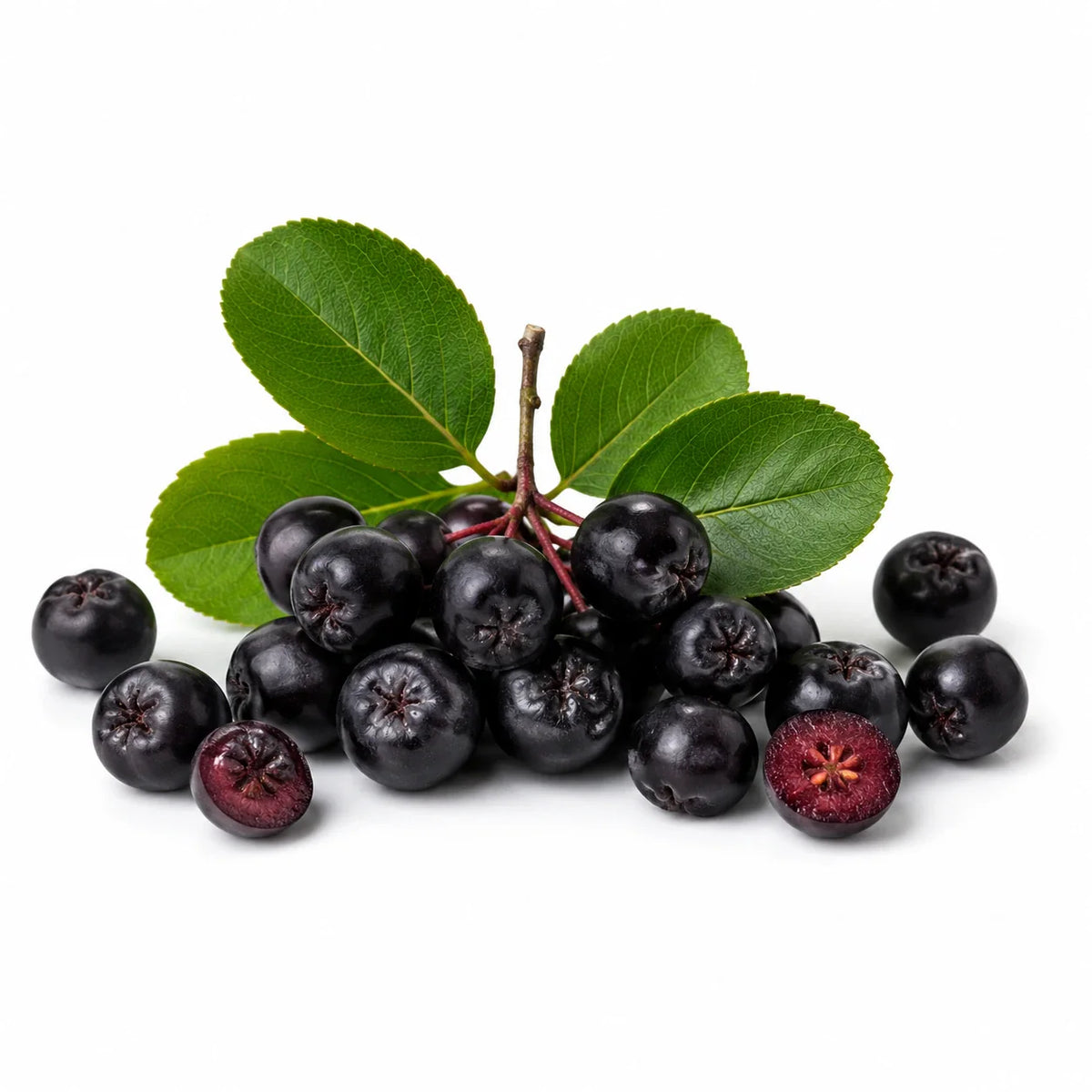 Aronia Beeren mit grünen Blättern als dunkle Superfood-Zutat für Sooperfood Pulver-Mischungen