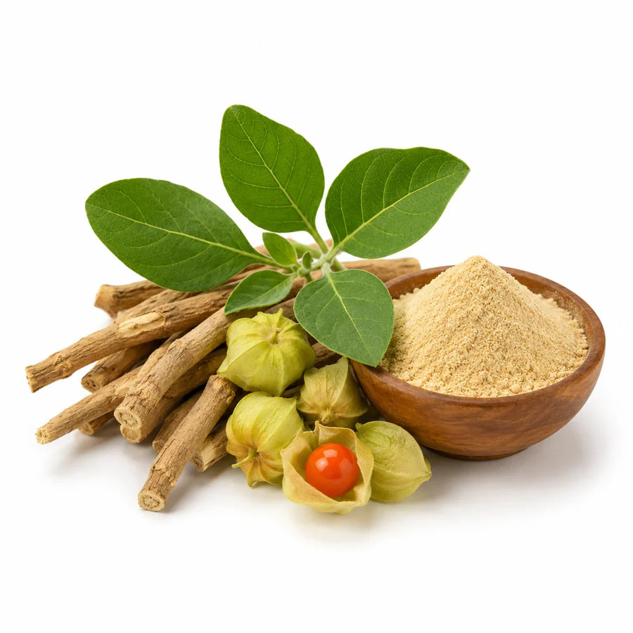 Ashwagandha Wurzel mit Blättern und Pulver als Pflanzenzutat für Sooperfood Pulver-Mischungen