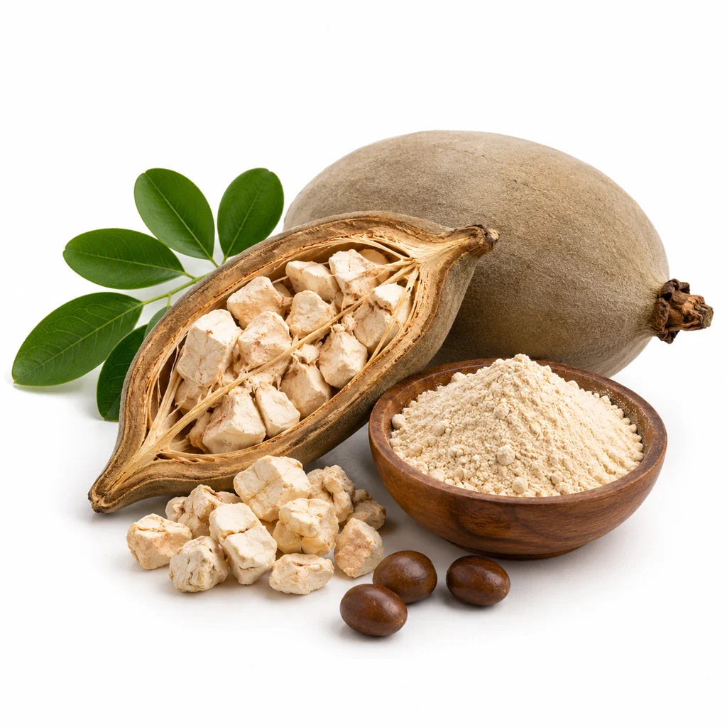 Baobab Frucht mit Pulver als Ballaststoff- und Vitamin-C-Zutat für Sooperfood Pulver-Mischungen