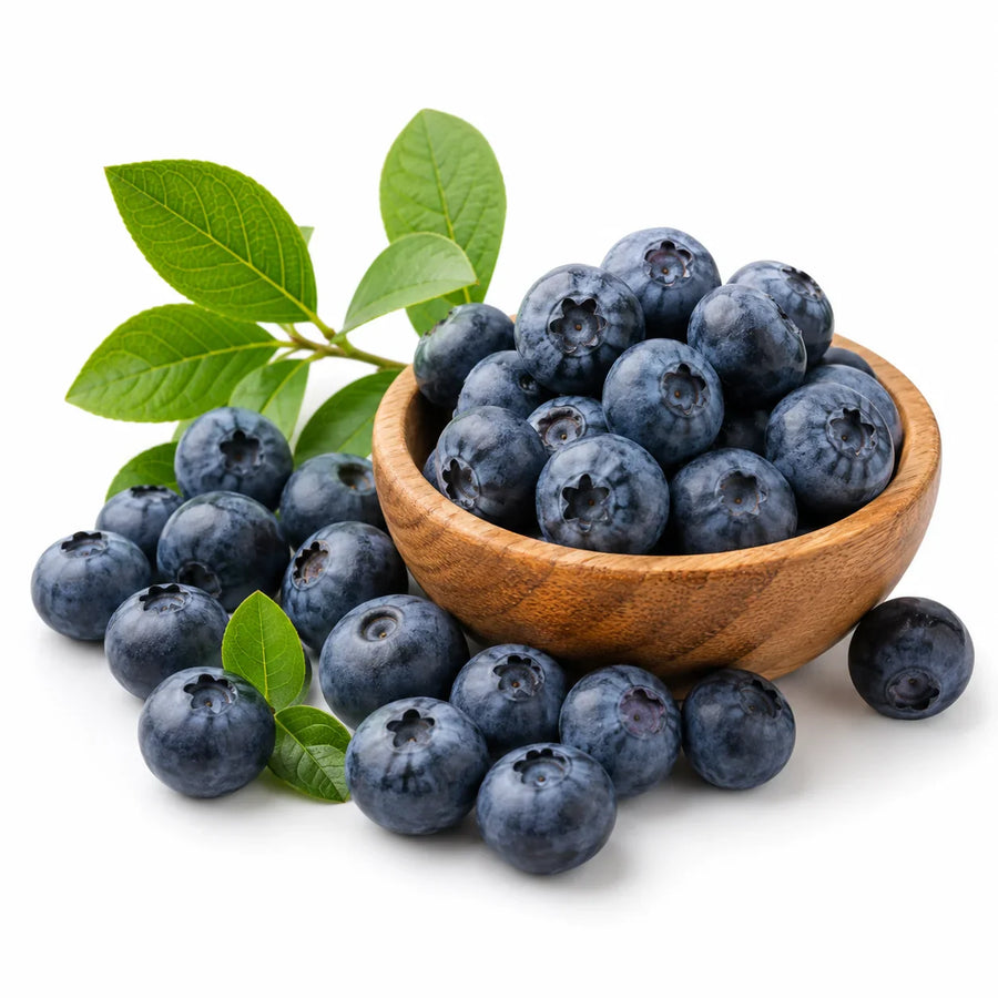 Blaubeeren mit Blättern und Pulver als Beeren-Zutat für Sooperfood Pulver-Mischungen