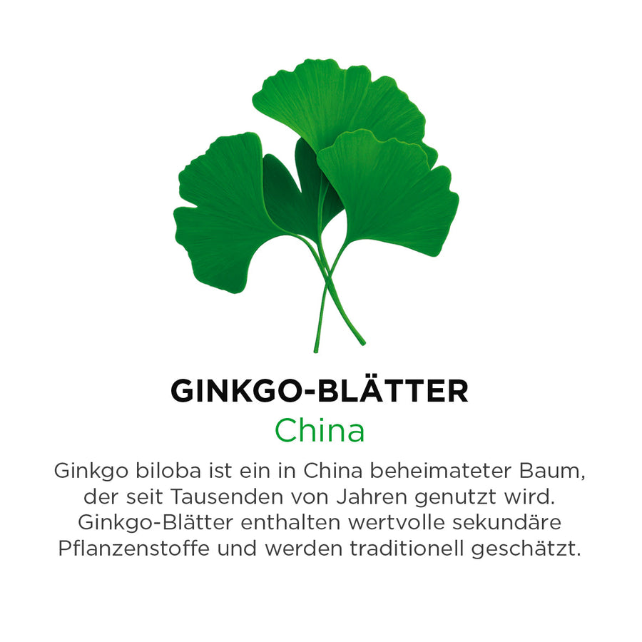 Ginkgo