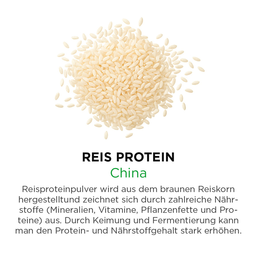Reis Protein
