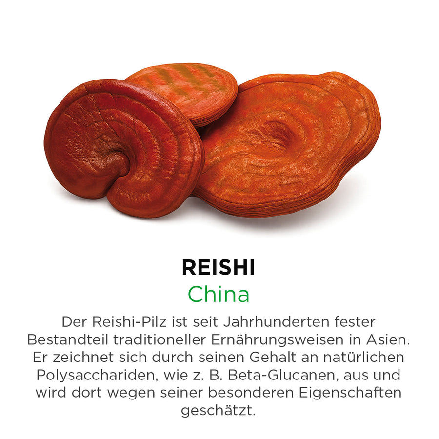 Reishi