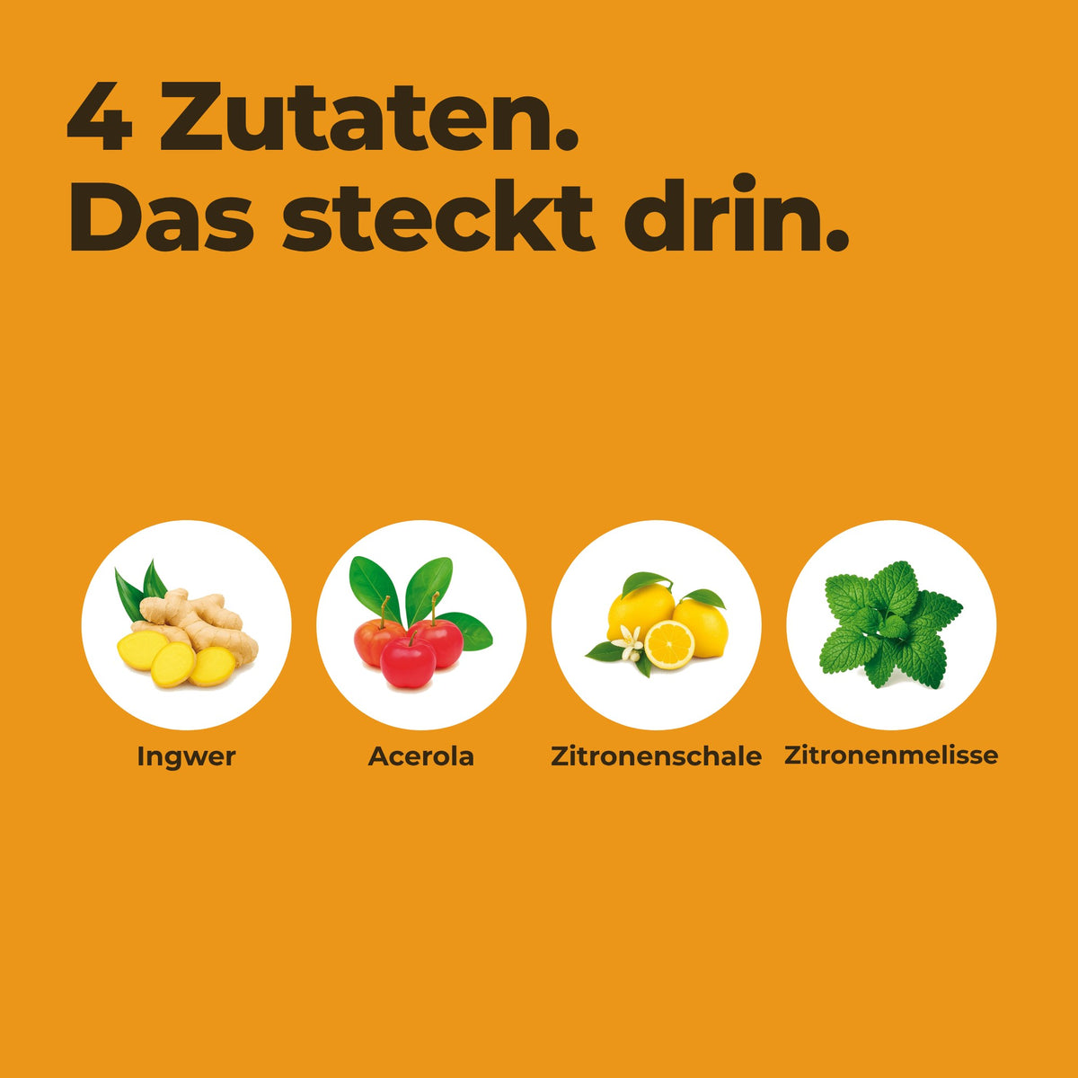Ingwer Shot - Zutaten
