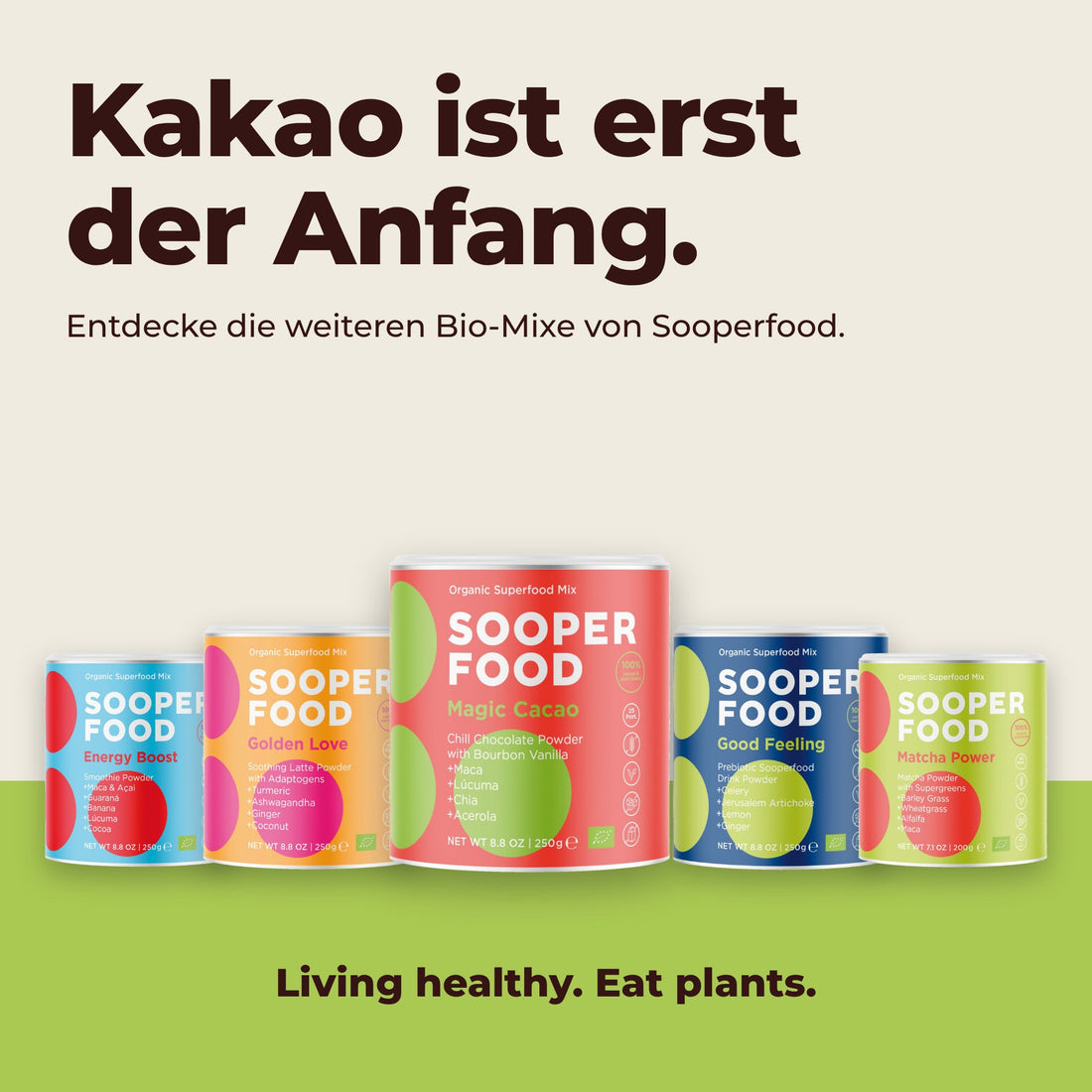 Magic Cacao Bourbon Vanille - Sortiment