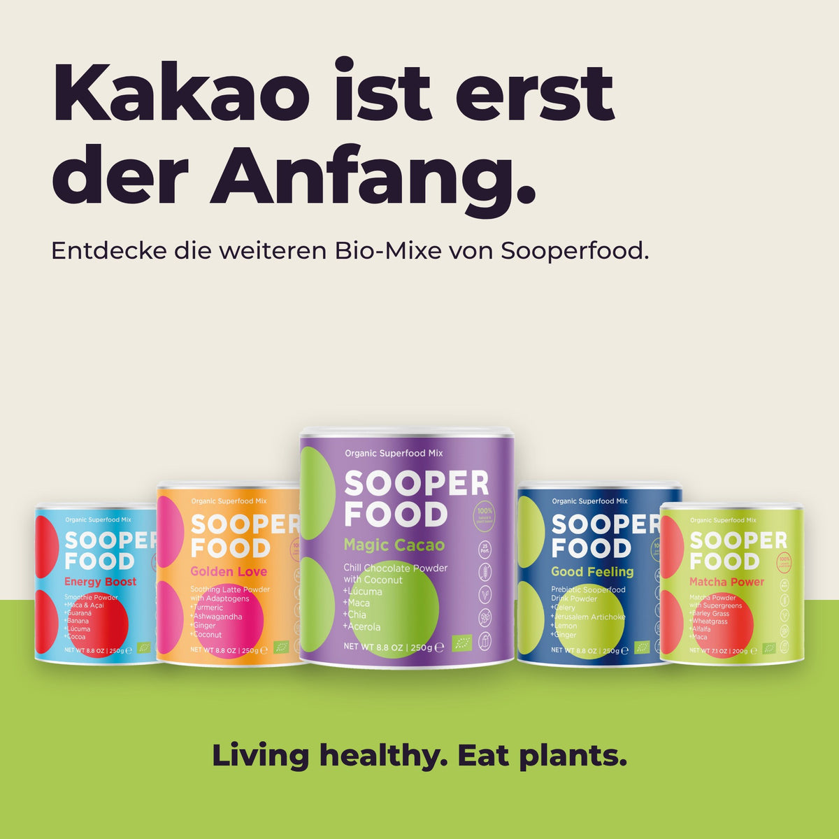 Magic Cacao Kokosnuss - Sortiment