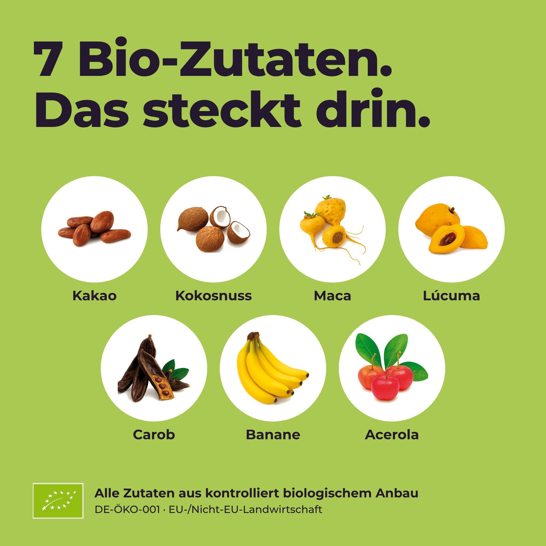 Magic Cacao Kokosnuss - Zutaten