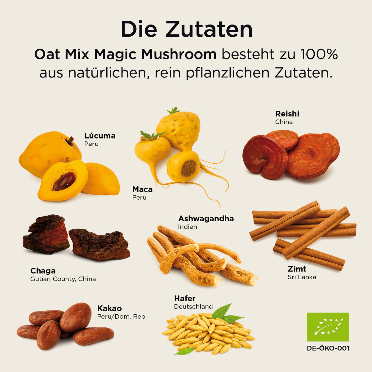 Oat Mix Magic Mushroom